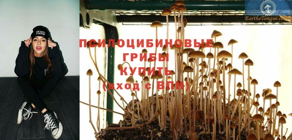 не бодяженный Ельня