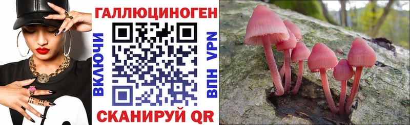 Купить  Чусовой  Галлюциногенные грибы Psilocybine cubensis 